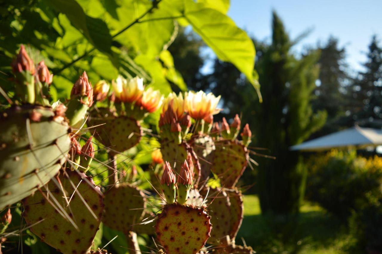 Bed & Tours Dimora Di Campagna Bed and Breakfast Castelnuovo Belbo Buitenkant foto