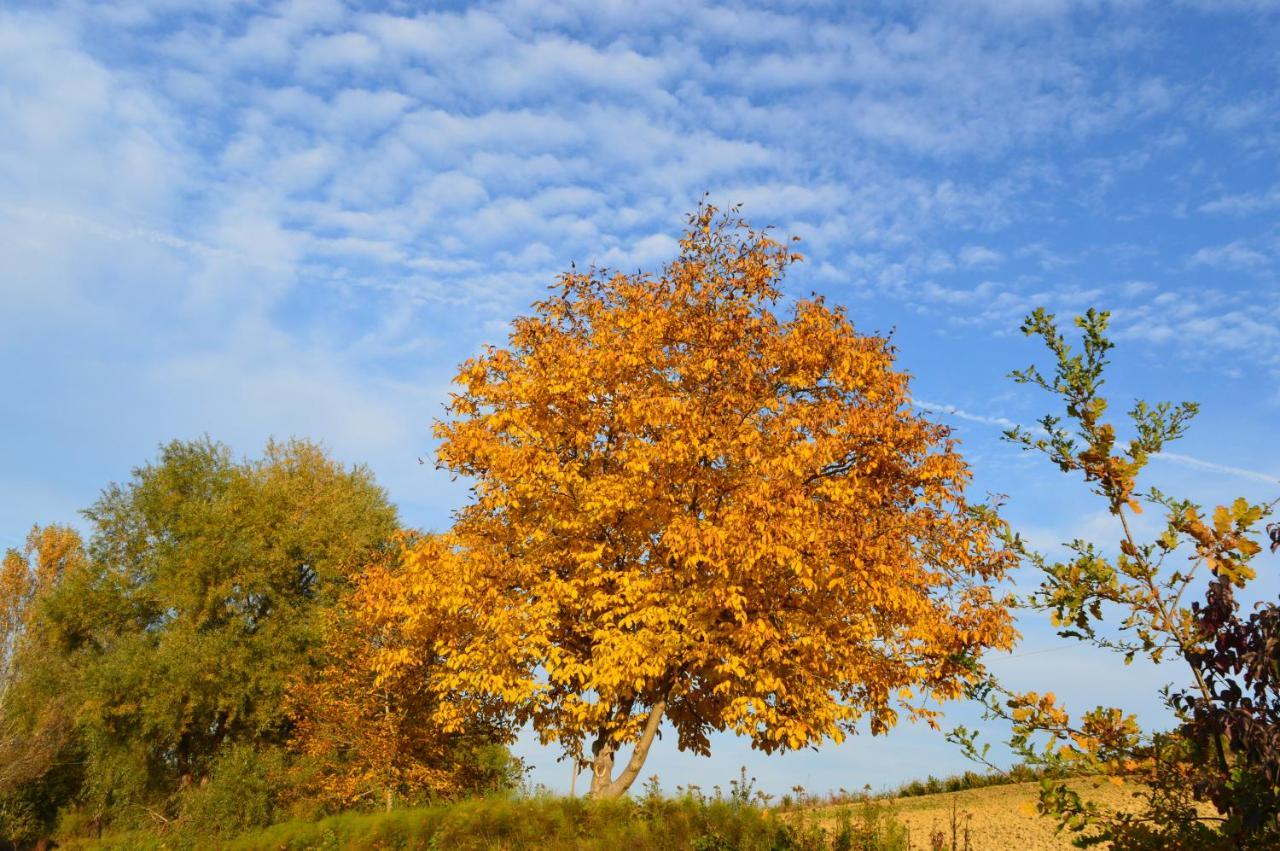 Bed & Tours Dimora Di Campagna Bed and Breakfast Castelnuovo Belbo Buitenkant foto